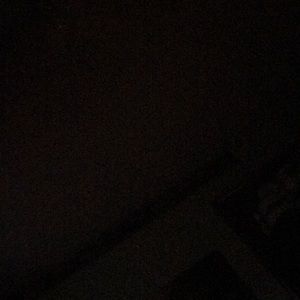 Meet your Posher, Elvis